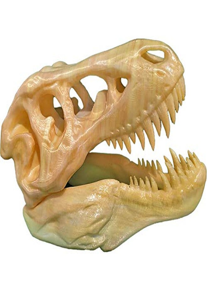 uneeke shape T Rex Skull: Dinosaur Skeleton, Realistic Look High Detailed Fancy Tyrannosaurus, Science Kit Jurassic Toy Cum Showpiece (Only Skull) - Image 1