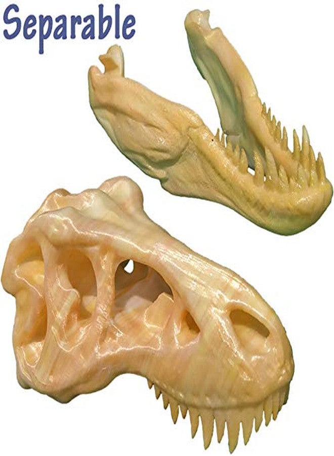 uneeke shape T Rex Skull: Dinosaur Skeleton, Realistic Look High Detailed Fancy Tyrannosaurus, Science Kit Jurassic Toy Cum Showpiece (Only Skull) - Image 2