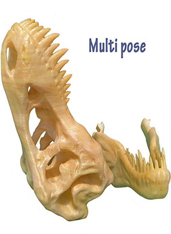 uneeke shape T Rex Skull: Dinosaur Skeleton, Realistic Look High Detailed Fancy Tyrannosaurus, Science Kit Jurassic Toy Cum Showpiece (Only Skull) - Image 3