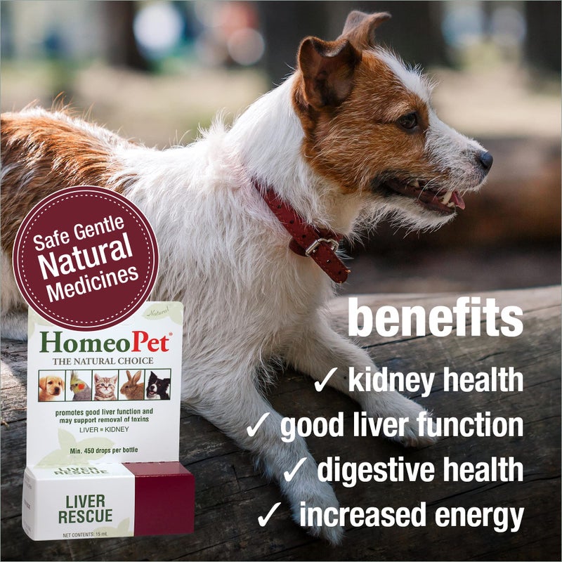 HomeoPet Liver Rescue, Safe and Natural Liver Support for Pets, Pet Supplement for Liver Support, 15 Milliliters - Image 4