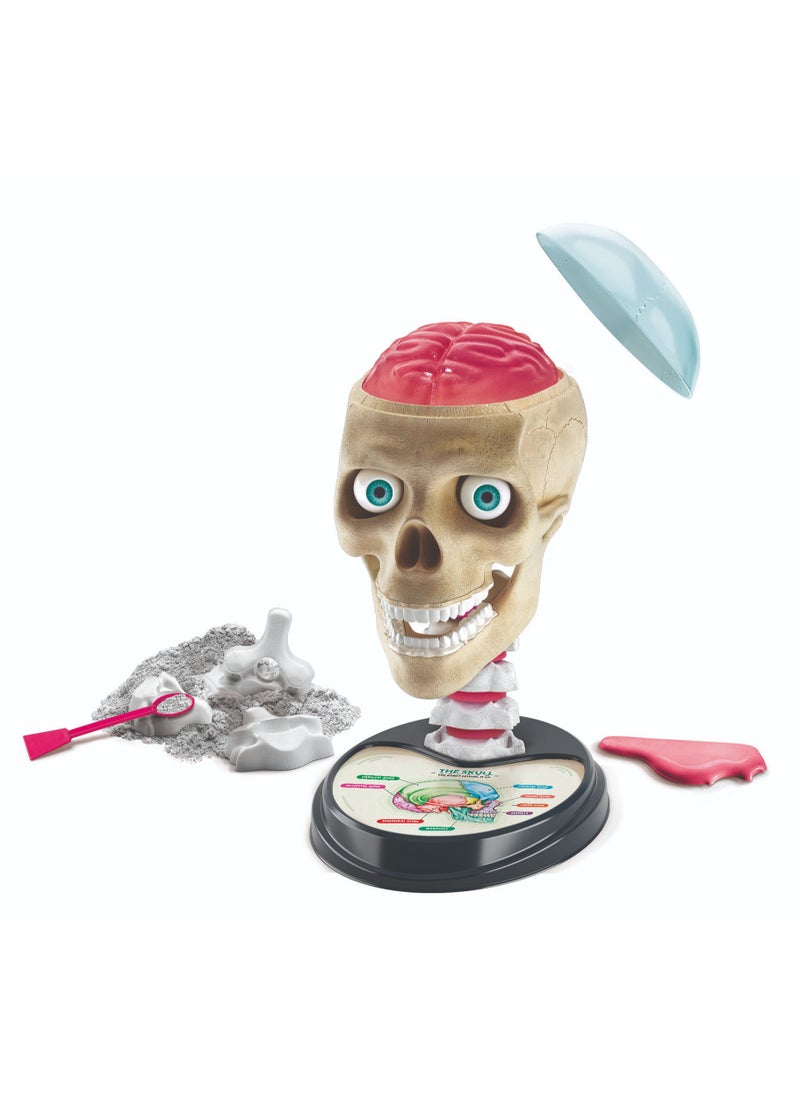 Clementoni - Clementoni Science and Play Crazy Anatomy Lab | Educational & Learning Toys - Image 1