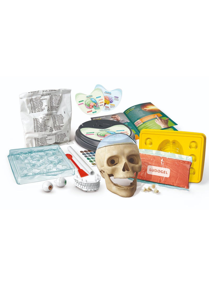 Clementoni - Clementoni Science and Play Crazy Anatomy Lab | Educational & Learning Toys - Image 1