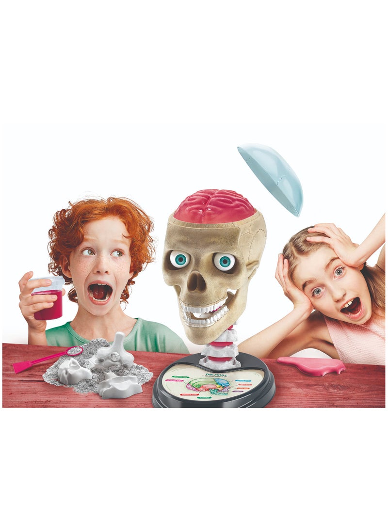 Clementoni - Clementoni Science and Play Crazy Anatomy Lab | Educational & Learning Toys - Image 1