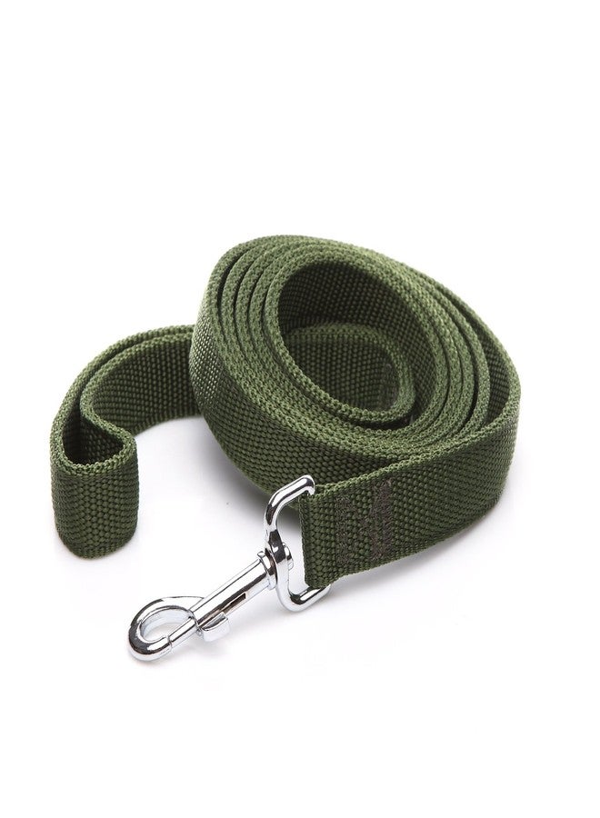 Taida Nylon Dog Leash with 2-Layer, 4 FT/ 6 FT/ 7FT Long, 1 Inch Wide for Medium Large Dogs - Image 2