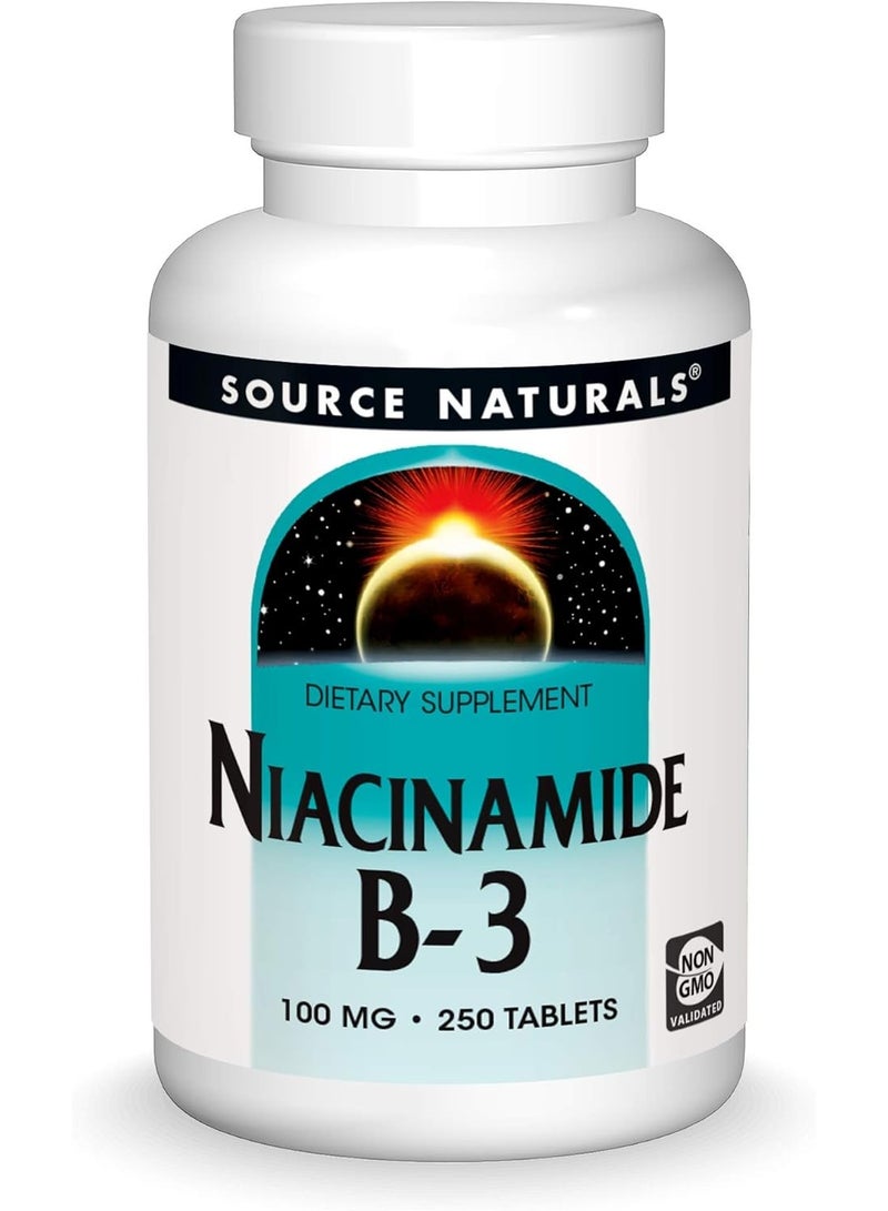 Source Naturals Niacinamide B-3, 100 mg Dietary Supplement - 250 Tablets - Image 1