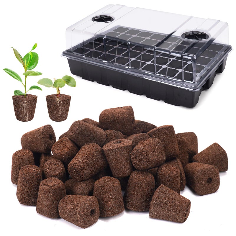 LAPOND 40 Pcs Seed Starter Plugs with Tray, Replacement Grow Sponges Plant Plugs, Great for Soil, Tray or Planting Pods, Promotes Herbs, Vegetables and Flowers Growth - Image 1