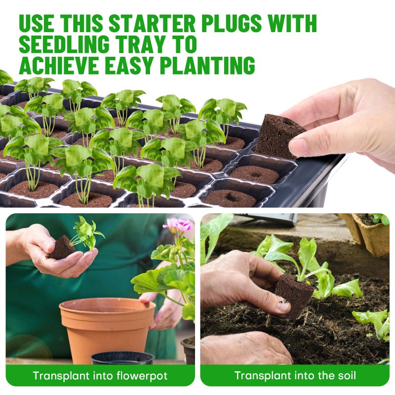 LAPOND 40 Pcs Seed Starter Plugs with Tray, Replacement Grow Sponges Plant Plugs, Great for Soil, Tray or Planting Pods, Promotes Herbs, Vegetables and Flowers Growth - Image 4