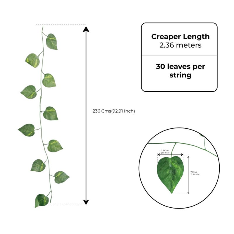 TrustBasket Artificial Creeper - Image 3