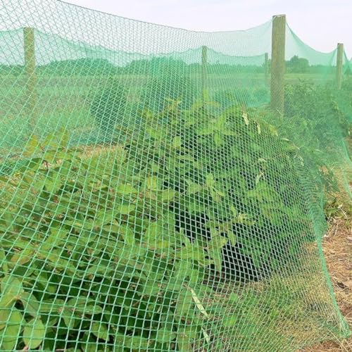 RK Trends Bird Netting | Heavy-Duty Anti-Bird Protection for Garden, Fruit Trees, and Vegetables | Durable (10 x 60) - Image 1