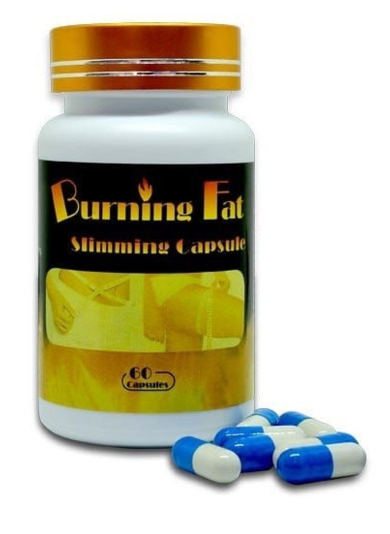 Capsule - Fat Burning Capsules 60 Pcs - Image 1