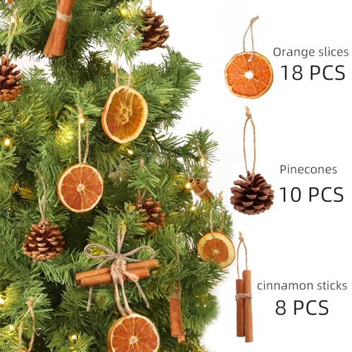 ORIENTAL CHERRY Christmas Decorations 36Pcs Natural Orange Slices Cinnamon Pinecones Set with Jute Hangers Unique Craft Ornaments Bulk for Xmas Tree Holiday Farmhouse Rustic Decor Indoor - Image 3