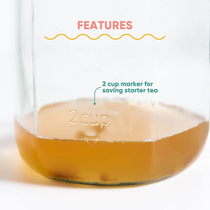 Craft A Brew طقم بدء تخمير الشاي الكمبوتشا – طقم الكمبوتشا المنزلي – مجموعة بدء التخمر مع SCOBY الكمبوتشا – 1 جالون - Image 5