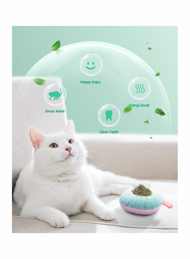 Cat Catnip Toys, 6 Pcs Pillows Cat Crinkle Toys, Rattle Sound, Cat Toys for Indoor Cats Interactive with Cute Fruits Set, Assorted Kitty Toys, Cat Teething Chew Toy with Plush Gift
