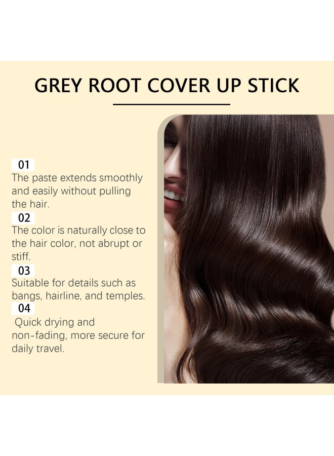 EELHOE Hair Stick Series Hair Cream With Comb Covering White Color Replenishing Pen Temporary Natural Hair Color Replenishing Tool - Image 4