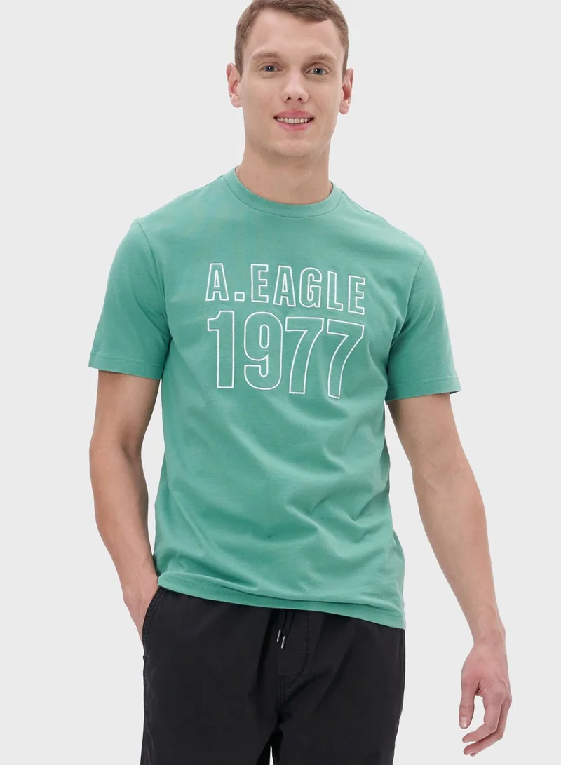 American Eagle Graphic Crew Neck T-Shirt