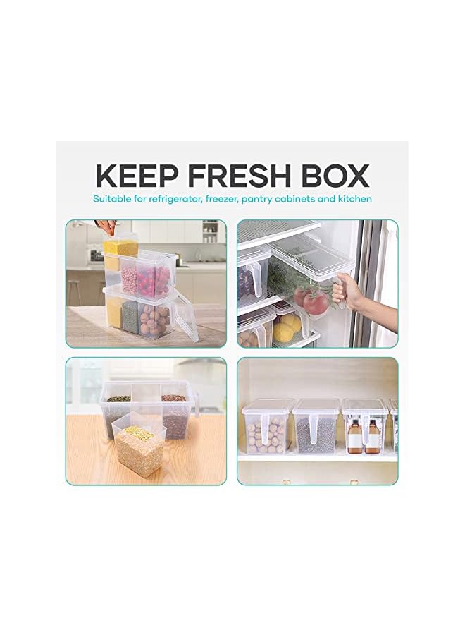 IAF Kitchen Organizer Containers & Food Storage Box With Lids, For Refrigerator, Fridge Organizer & Food Storage Boxes With Handles Freezer Safe (Set of 2 Organizers With Lid And 6 Removable Bins) - Image 4