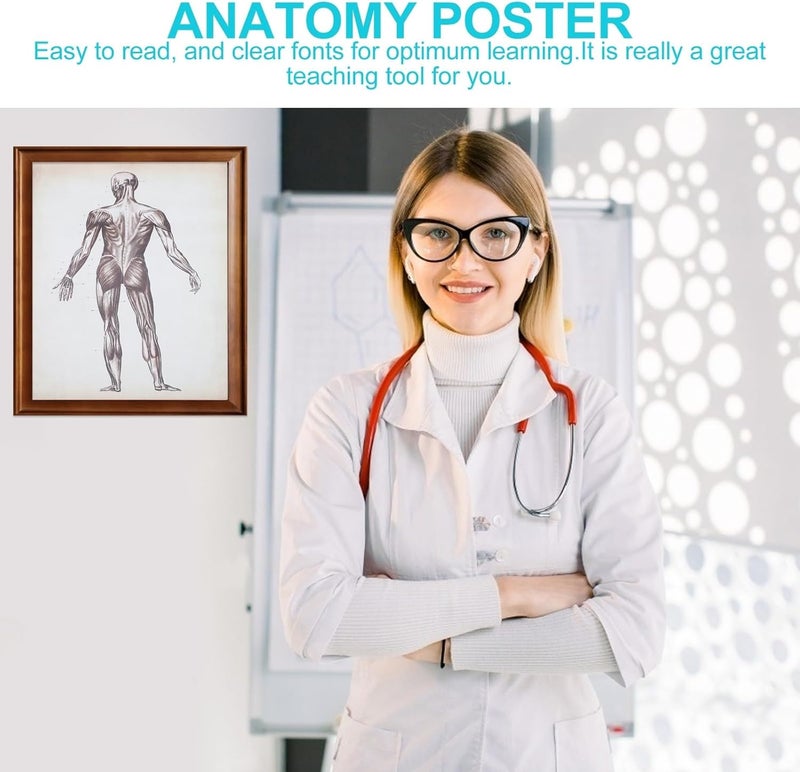 Global assorted color picks Alasum Human Anatomy Poster Skeleton Muscle Chart 40x50cm Educational Wall Hanging Anatomy Teaching Chart for Classroom and Home Decor Wet anti slip Budget global standard quality Multiple options Spec compliant trusted quality Budget friendly trendy design Minimal design Global standard quality Globally engineered build Long term heavy use compatible Globally popular universal design Market mainstream color picks Full village delivery cover Odor resistant Fixed delivery schedule Treated anti-rust metal Main road full logistics cover Trendy versatile build Home & light industrial compatible Global assemble options Diverse operating method fit Stackable design General compatible practical design Varied dimensions Reliable daily use design - Image 3
