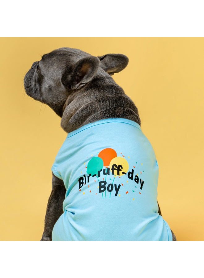 ALINK Birthday Boy Dog Shirt, Bir-Ruff-Day Boy Funny Dog Clothes for Small Dogs Boy, Pet Birthday Outfit, Cat Tshirt, 100% Breathable Cotton, Aqua Blue, Large - Image 2