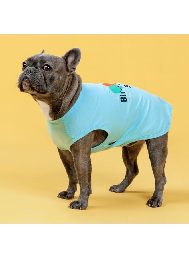 ALINK Birthday Boy Dog Shirt, Bir-Ruff-Day Boy Funny Dog Clothes for Small Dogs Boy, Pet Birthday Outfit, Cat Tshirt, 100% Breathable Cotton, Aqua Blue, Large - Image 3