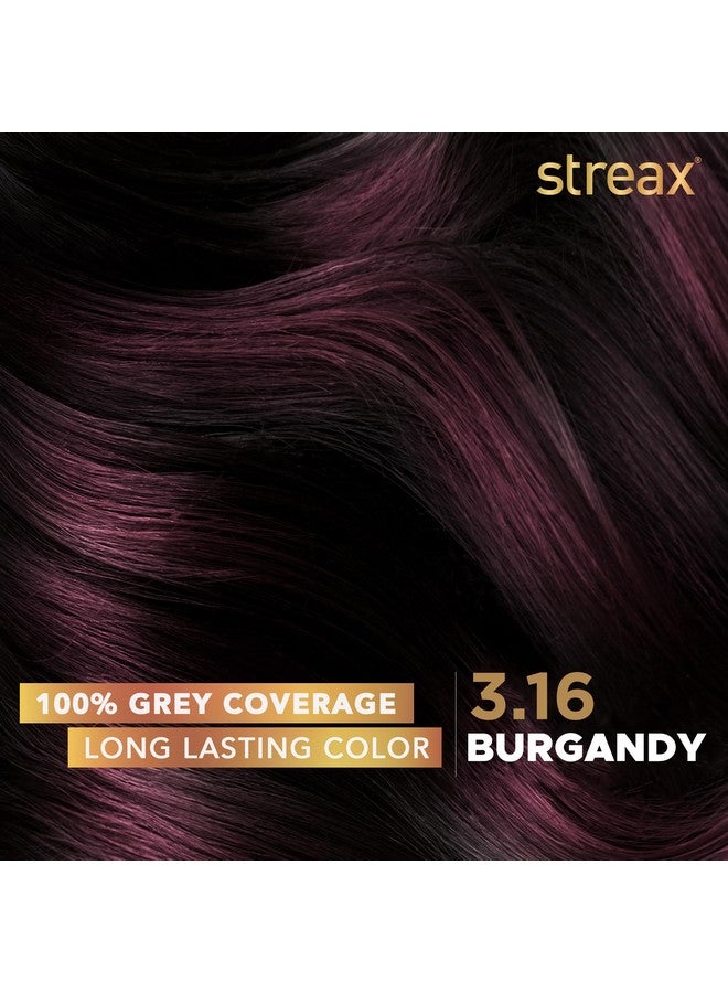 Streax Permanent Hair Colour 100% Grey Coverage Infused With Argan And Walnut Oil Long Lasting Cream Hair Colour For Women Burgundy Hair Colour 3.16 Burgundy 120 Ml Pack Of 1 - Image 2