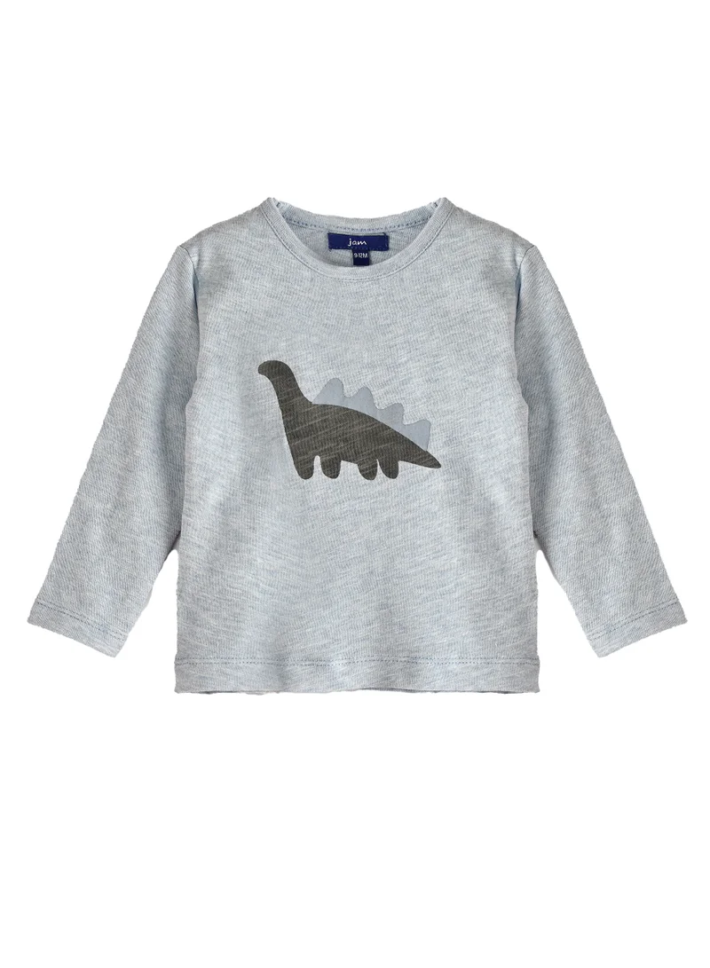 JAM Boys Light Blue Dino Sweatshirt