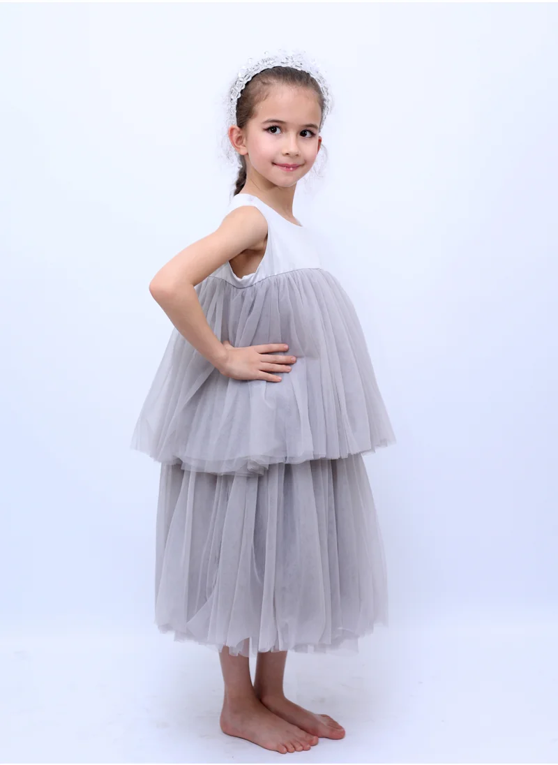 D'Daniela Marcia Party Dress Grey Colour