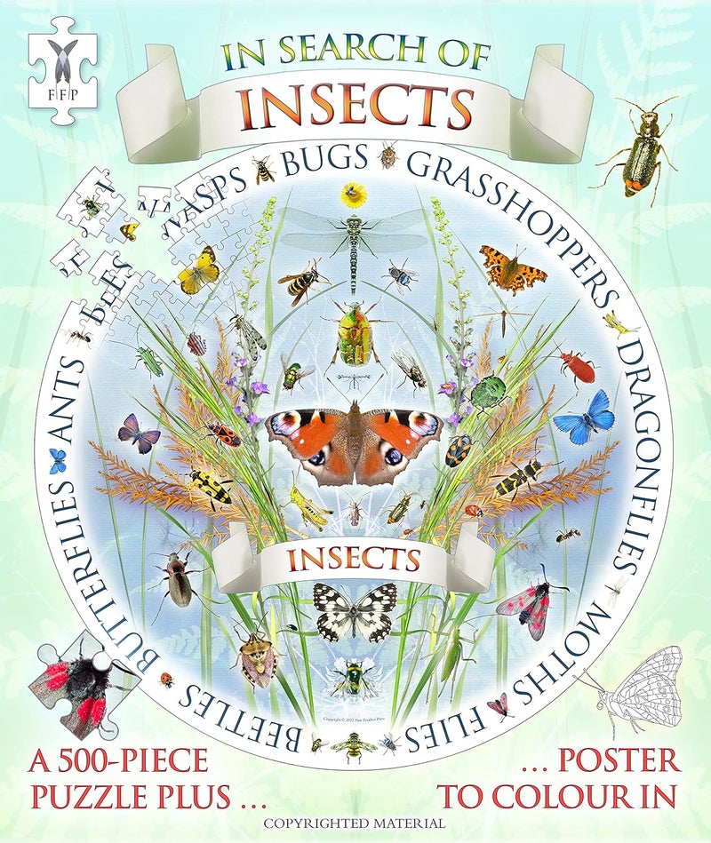 In Search of Insects Jigsaw and Poster  - Image 1