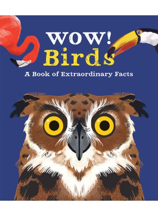 Wow! Birds - pzsku/Z45ADDFA49D33BBFE5BA0Z/45/1746207407/f9a422c4-184e-46f1-a1a3-6de5f1ce8967