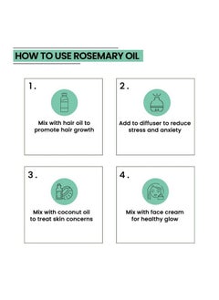 Rosemary Essential Oil For Hair Growth 100% Pure & Natural Rosemary Oil For Hair Skin And Body 15Ml (15 Ml Pack Of 1) - pzsku/Z45AF573C24405C76FD9FZ/45/_/1687759913/815a0754-8995-41cd-92e5-acc179ef9caf