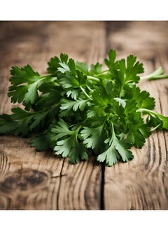GROW Parsley seeds al-fajr  - Image 2