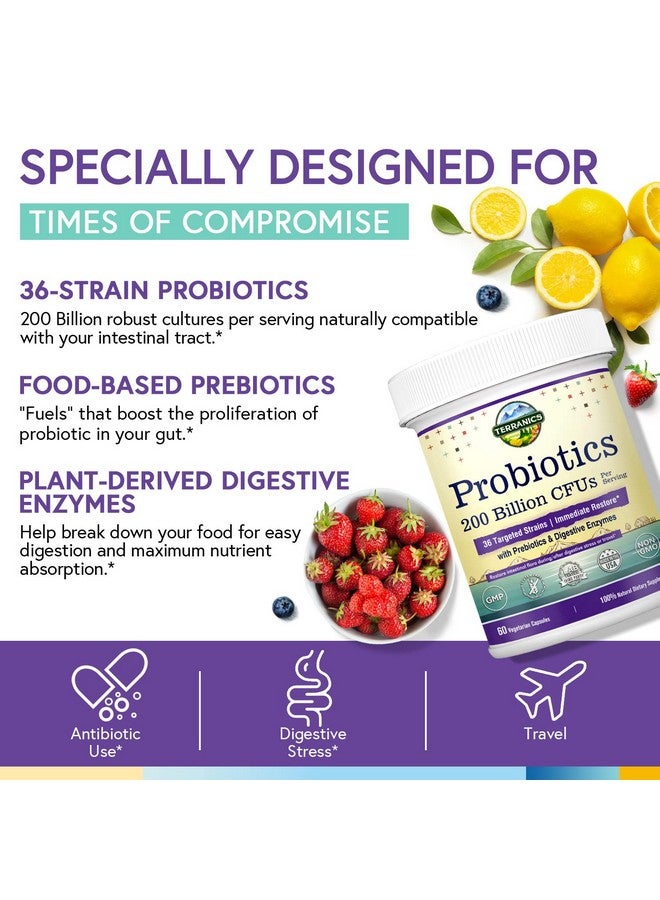 Terranics Daily Probiotics For Men & Women 200 Billion 36 Strains Immediate Restore Probiotics With Prebiotics & Enzymes Healthy Regularity Delayed Release Shelf Stable 60 Veggie Caps - Image 4