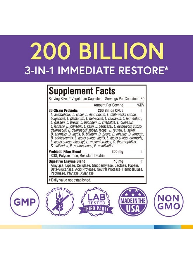 Terranics Daily Probiotics For Men & Women 200 Billion 36 Strains Immediate Restore Probiotics With Prebiotics & Enzymes Healthy Regularity Delayed Release Shelf Stable 60 Veggie Caps - Image 3