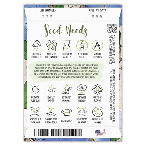 Seed Needs Heavenly Blue Morning Glory Seeds for Planting | 1,000+ Heirloom Seeds Ipomoea Tricolor Untreated Annual Flowering Seed | Vine Plant Produces Masses of 6" Wide Blue Blooms | Bulk - Image 2