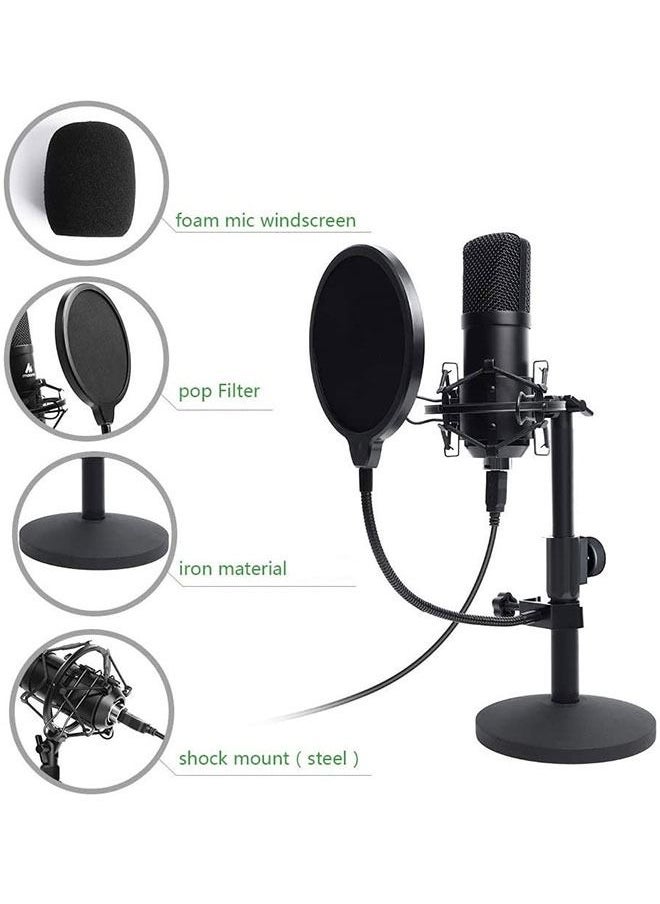VITION USB Streaming Podcast PC Microphone, Professional 192kHz/24bit Studio Cardioid Condenser Mic Kit with Sound Card Boom Arm Shock Mount Pop Filter,Live Broadcast Equipment for Skype Youtuber Karaoke Gaming Recording - Image 4