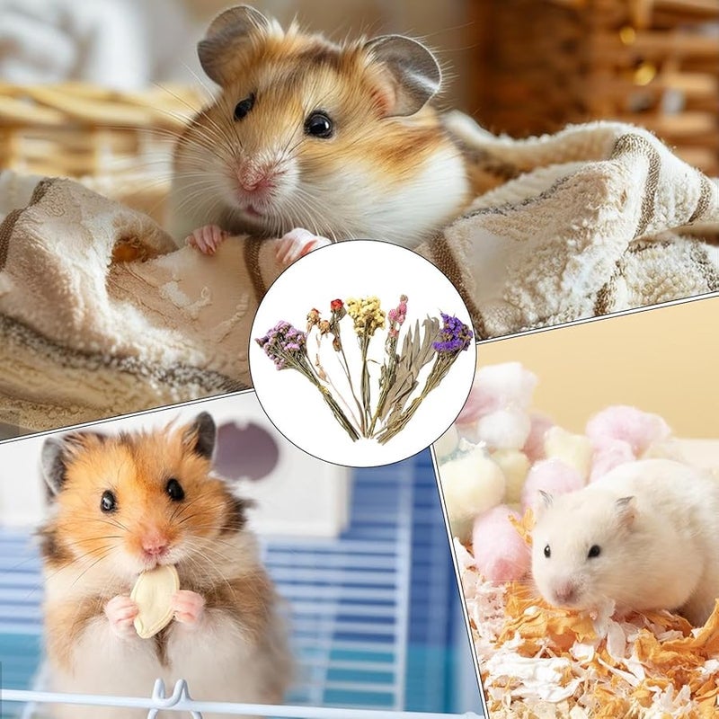 فراش الهامستر الطبيعي من الزهور ديكور موطن الحيوانات الصغيرة اللون A - Image 5