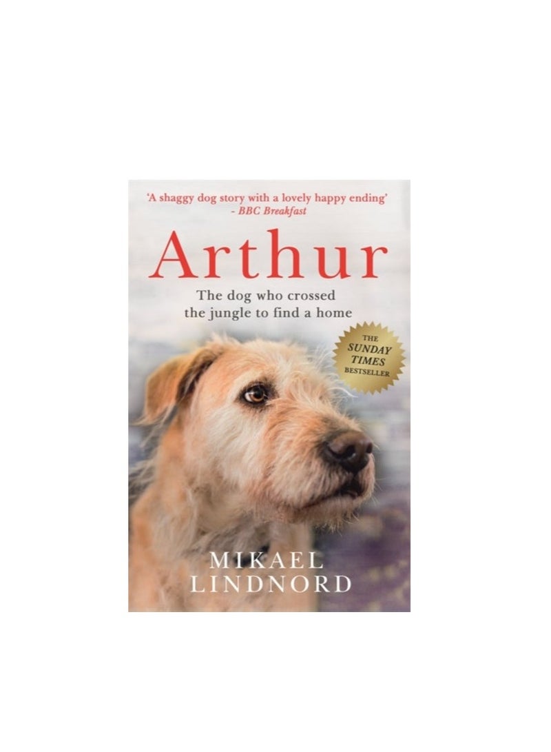 Arthur: The Dog Who Crossed The Jungle To Find A Home