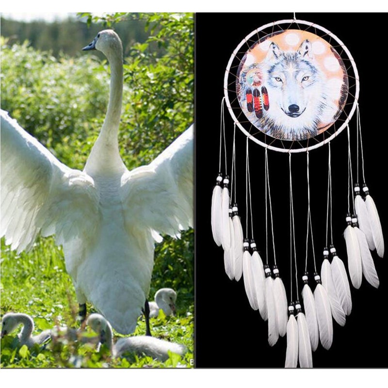 Malicosmile Wolf Dream Catcher, Handmade White Feather Dream Catchers Gift Wall Decoration Dreamcatchers - Image 4