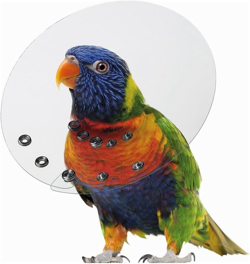 Kong KVP Bird E-Collar for Small Birds, 2-2.75" / 6" Diameter - Image 1