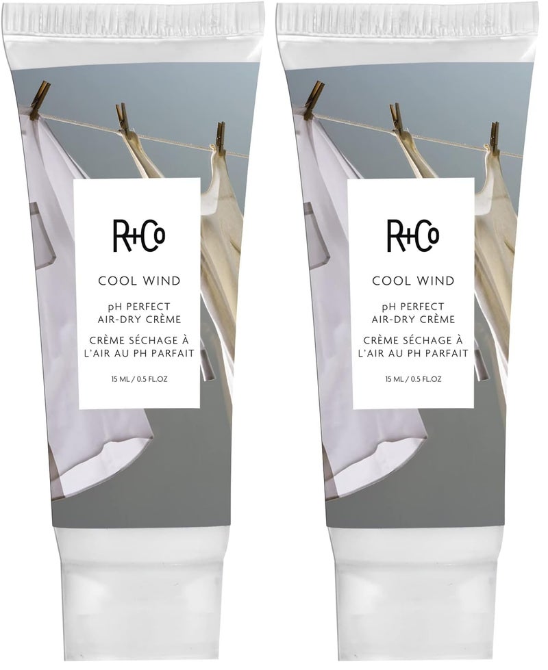 R+Co Cool Wind pH Perfect Air Dry Creme Deluxe | Air Dry Styler Tames Frizz + Hydrates | Vegan + Cruelty-Free | 0.5 Oz (Pack of 2)