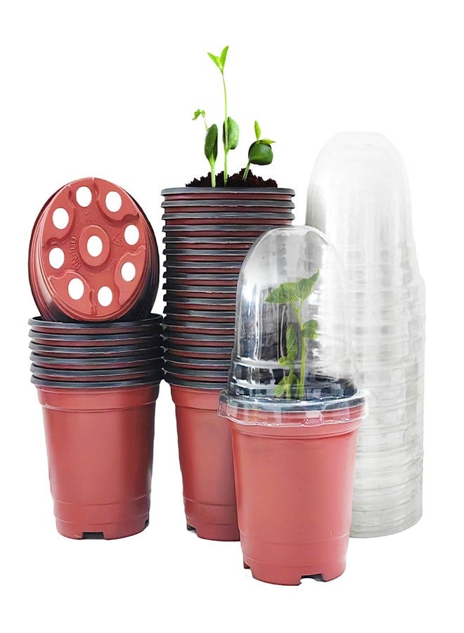 RooTrimmer أواني زراعة نباتات من RooTrimmer مزودة بأغطية للتحكم في الرطوبة، 25 مجموعة من أواني الزراعة الناعمة عالية الجودة مقاس 4 بوصات (25 وعاء أحمر + 25 غطاء شفاف)، أواني زراعة صغيرة لبذور النباتات - Image 1
