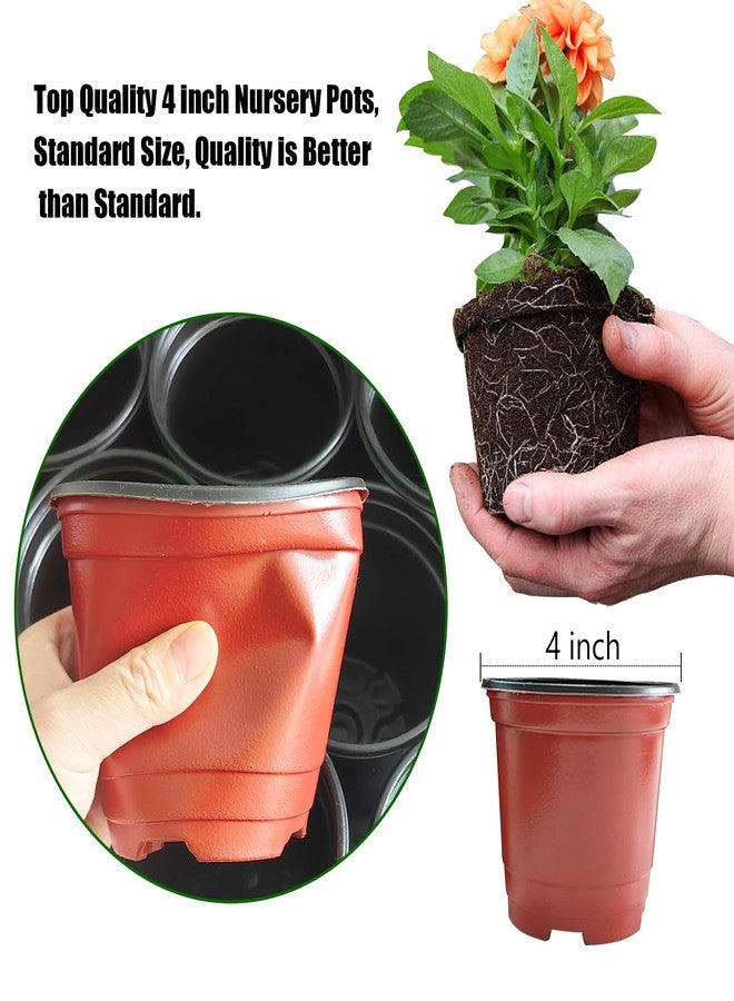 RooTrimmer أواني زراعة نباتات من RooTrimmer مزودة بأغطية للتحكم في الرطوبة، 25 مجموعة من أواني الزراعة الناعمة عالية الجودة مقاس 4 بوصات (25 وعاء أحمر + 25 غطاء شفاف)، أواني زراعة صغيرة لبذور النباتات - Image 5