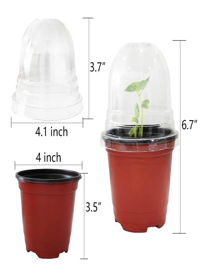 RooTrimmer أواني زراعة نباتات من RooTrimmer مزودة بأغطية للتحكم في الرطوبة، 25 مجموعة من أواني الزراعة الناعمة عالية الجودة مقاس 4 بوصات (25 وعاء أحمر + 25 غطاء شفاف)، أواني زراعة صغيرة لبذور النباتات - Image 3