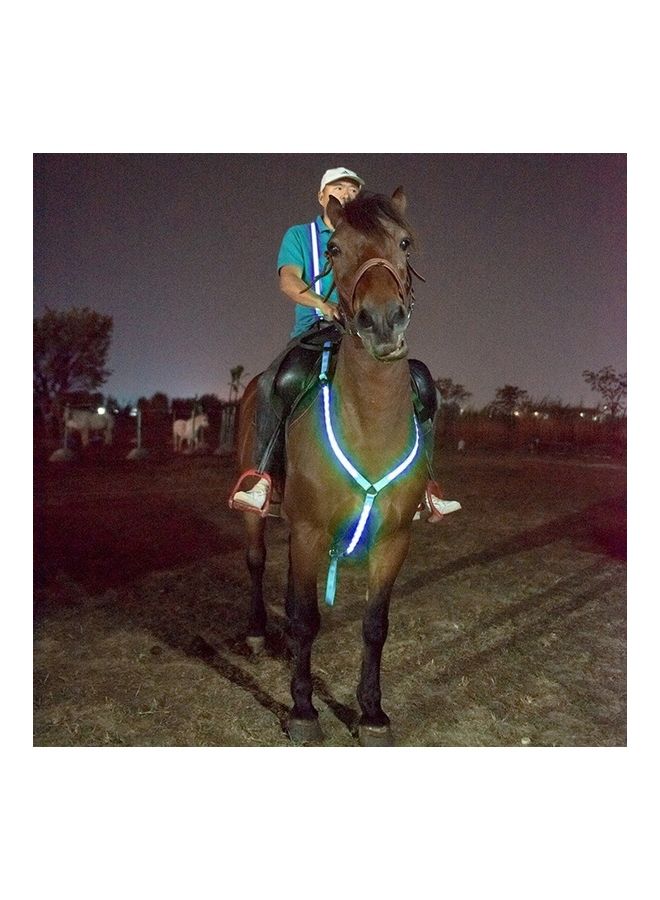 نيبمينينت High Visibility LED Horse Breastplate Collar - Image 2