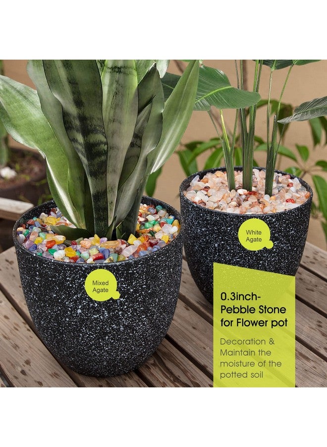 RIFNY Decorative Polished Rocks, 0.3" Gravel Rocks Crushed Crystal for Plant Flower Pots Succulents Cactus Bamboo Plant Vase Filler Aquarium Fish Tank Decorations and DIY Craft (1.5 LB, Color) - Image 2