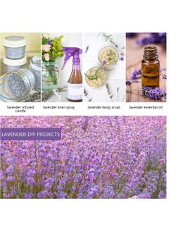SYOSI 5A Lavender Sachet 10g 10pcs Natural Lavender Dried Flower Bag Scent Sachet Drawer Freshener Premium Grade Dried Lavender Deodorizer Freshener for Drawers and Closets Home Car Fragrance Product  - Image 5
