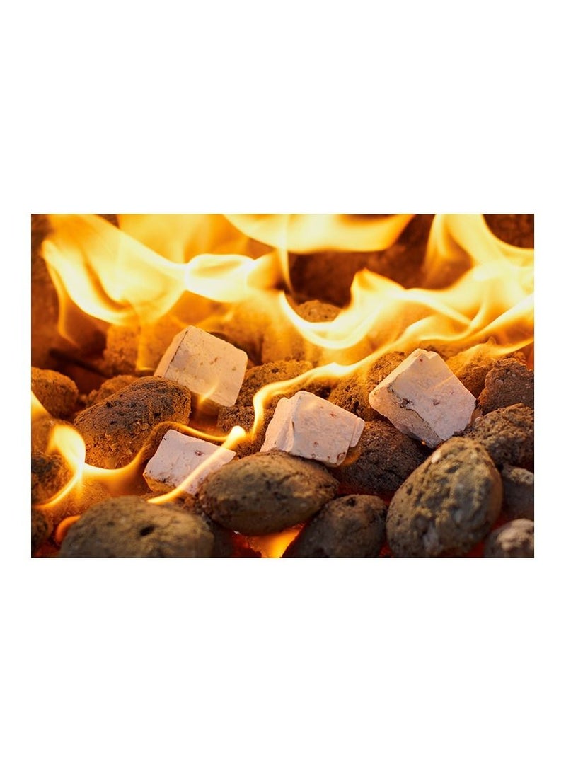 Bestflame 28 Firelighters