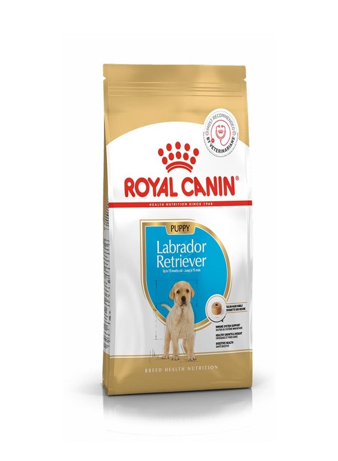 رويال كانين طعام رويال كانين للجراء من فصيلة لابرادور ريتريفر، 200 غرام، طعام جاف، يدعم جهاز المناعة وصحة الجهاز الهضمي، ويعزز النمو الصحي والوزن - Image 1