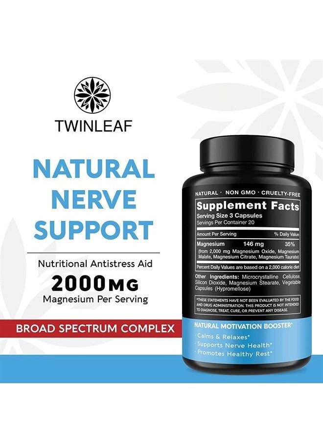 TWINLEAF - Magnesium Brain Booster Made in USA - Supports Brain Health & Function as Natural Calm, Relax Aid - Nootropic Magnesium Memory, Concentration & Focus Pills That Promote Better Rest - Image 1