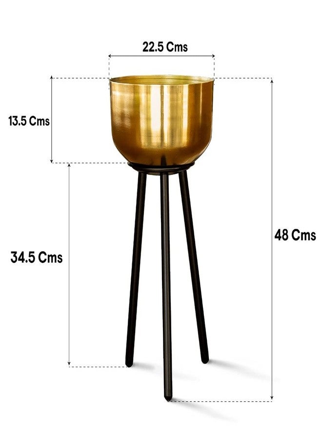 TrustBasket Marcel Metal Plant Container (Gold) | Heavy Duty High Durable Floor Pot with Stand for Living Room, Indoor/Outdoor Balcony Home Decor - Image 3