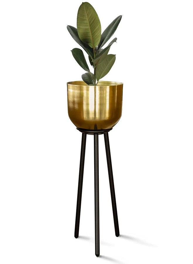 TrustBasket Marcel Metal Plant Container (Gold) | Heavy Duty High Durable Floor Pot with Stand for Living Room, Indoor/Outdoor Balcony Home Decor - Image 2